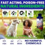 Fly Traps Outdoor Fly Trap for Patio with 2 Non-Toxic Dissolvable Bait Refills. Reusable Hanging Bug Catcher Killer for All Filth Flies for Outside Bug Control Yard Ranch. Hanging Chains Included