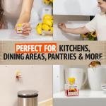 Super Ninja Fruit Fly Traps for Indoors - 4 Pack, Highly Effective Fruit Fly Catcher for Indoor Use for Home & Kitchen, Up to 3 Weeks of Performance per Bottle, Kid & Pet Friendly