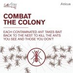 Savitri Ant Gel Bait for Indoor and Outdoor Use