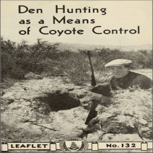 Den Hunting as a Means of Coyote Control