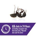 STEM Liquid Ant Baits - 4 Spill Proof Stations