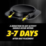 Ortho Orthene Ant Killer Ant Bait, Indoor Ant Killer, Kills The Queen and The Colony, 12 Stations