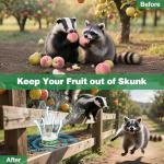 4 Pack Peppermint Oil to Repel Raccoons and Skunks, Skunk Repellent for Yard, Skunk Repellent Keeping Raccoons Out of House Garages, Human Pet Dog Plant Safe