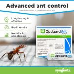 Syngenta - TRTD11568 - Optigard Ant Bait Gel Box - 4 Tubes w/ Plunger - 30g each tube, White