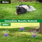 36 Pack Skunk Repellent - Raccoon Repellent Outdoor for Indoor Outdoor, Natural Peppermint Oil Skunk Rodent Safe for Pets & Kids Repels Skunk Raccoon Mouse
