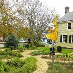 Solar Animal Repeller for Deer and Predators - 4 Pack