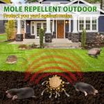 10-Pack Peppermint Oil Mole Repellent for Outdoors
