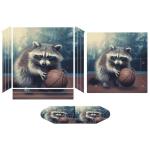Funny Raccoon Basketball Skin Wrap for PS4