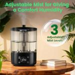 Reptile Humidifier Fogger with Timer and Remote