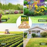 10-Pack Peppermint Oil Mole Repellent for Outdoors
