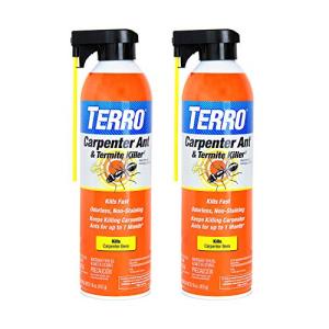 TERRO Ready to Use Indoor and Outdoor Carpenter Ant, Termite, and Carpenter Bee Killer Aerosol Spray - T1901SR - 2 Pack, 32 Total Ounces