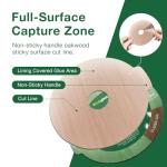 EcoVenger Bed Bug Traps & Killer 48 Ct, Super Glue Bed Bug Monitors and Interceptors, Blocks Bed Bugs' Access to Beds/Futon/Couch, Discreet Classic Oak Design for Hard Floors, Easy to Peel & Use