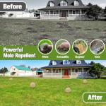 Mole Repellent Outdoor,Vole Repellent,Groundhog Repellent Outdoor,Mole Control,Mole Deterrent for Yard,Safe for Family, Pets & Plants,Lasts up to 60 Days - 8P