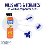 TERRO Ready to Use Indoor and Outdoor Carpenter Ant, Termite, and Carpenter Bee Killer Aerosol Spray - T1901SR - 2 Pack, 32 Total Ounces