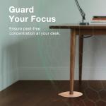 EcoVenger Bed Bug Traps & Killer 48 Ct, Super Glue Bed Bug Monitors and Interceptors, Blocks Bed Bugs' Access to Beds/Futon/Couch, Discreet Classic Oak Design for Hard Floors, Easy to Peel & Use