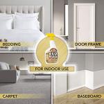 Harris 5 Minute Kill Time Bed Bug Killer Spray, Odorless and Non Staining Formula with Residual Protection (32oz)