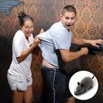 Vicketoy Remote Control Rat Toy, Fake RC Rat Toy Giant Realistic Rat Model Wireless Remote Control Mouse Toy Prank Prank Joke Tricky Toy for Halloween Christmas Birthday Gift Cat Dog Toy (Grey)