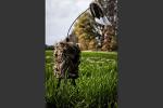 MOJO Outdoors Predator Hunting Decoy for Varmints