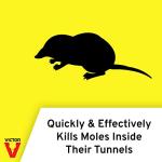 Victor Out O'Sight Mole Trap - Mole Control Device for Lawns, Gardens, and Yards - 0631A - Durable Steel Trap for Outdoor Pest Removal