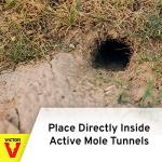 Victor Out O'Sight Mole Trap - Mole Control Device for Lawns, Gardens, and Yards - 0631A - Durable Steel Trap for Outdoor Pest Removal