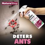 NatureStop Ant Killer Spray for Indoor Use, Fast-Acting Ant Control, 16 oz (475mL)