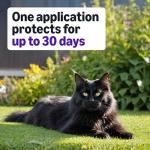 Amazon Basics Flea Treatment for Large Cats