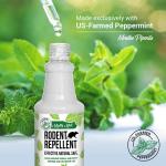 Mighty Mint Peppermint Oil Rodent Repellent Spray – Natural Indoor & Outdoor Control for Mice and Rats – Plant-Based, Extra-Strong Formula - 16 oz (Pack of 2)