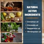 Ant Repellent for Home and Outdoor Use