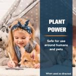 Ant Repellent for Home and Outdoor Use