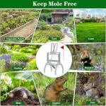 4 Pack Mole Traps That Kill Best, Mole Trap Easy to Set, Galvanized Steel Gopher Traps for Lawns, Reusable Quick Capture Gopher Hawk Vole Trap Outdoor Use
