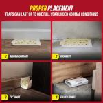 Catchmaster 10-Pack Roach Trap Glue Boards