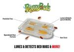 BuggyBeds Bed Bug Glue Traps, 12 Pack