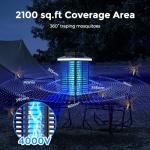 Portable 2-in-1 Outdoor Bug Zapper with LED