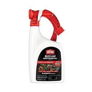 Ortho BugClear Ready-to-Spray Insect Killer 32 oz