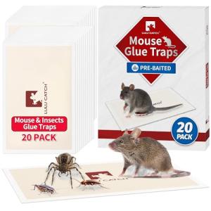 LULUCATCH 20 Pack Indoor Sticky Mouse Traps