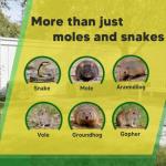 PVTYSZES Mole and Snake Repellent for Lawns, Mole Deterrent for Yards, Gopher Repellent, Vole & Groundhog Repellent Outdoor, Armadillo Repellent for Garden, Covers 120 Sq Ft, 10 Packs