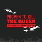 Amdro Ant Killer for Outdoor Home Perimeter, 12oz