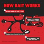 Amdro Ant Killer for Outdoor Home Perimeter, 12oz