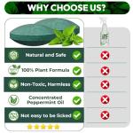 Mouse Rodent Repellent, 24 Pack Peppermint Oil Mouse Traps for Rat Mice, Nature Mouse Deterrent for Indoor Outdoor Use, for Garden & Home, Family & Pet Friendy