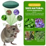 Mouse Rodent Repellent, 24 Pack Peppermint Oil Mouse Traps for Rat Mice, Nature Mouse Deterrent for Indoor Outdoor Use, for Garden & Home, Family & Pet Friendy