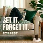 Bed Bug Interceptors – 8 Pack Black Traps