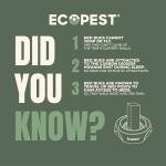 Bed Bug Interceptors – 8 Pack Black Traps