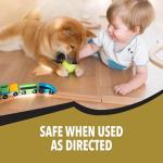 Bengal Gold Odorless Roach Spray - 11 oz, 2 Pack