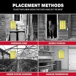 Catchmaster Giant Fly Glue Traps - 3-Pack