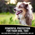 Absorbine UltraShield EX Insecticide Spray 32oz