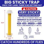 Sticky Fly Traps for Indoor and Outdoor Use 4pk