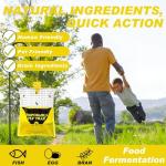 Pre-Baited Outdoor Fly Traps for Patios - 4 Pack