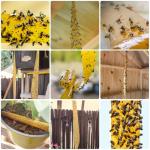 40 Pack Sticky Fly Trap Strips for Indoor/Outdoor