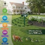 Solar Ultrasonic Animal Repeller - Humane Pest Control