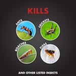 Spectracide Ant Shield Insect Killer Granules, 3 lb, Case Pack of 1